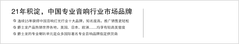21年積淀，中國專業音響行業市場品牌